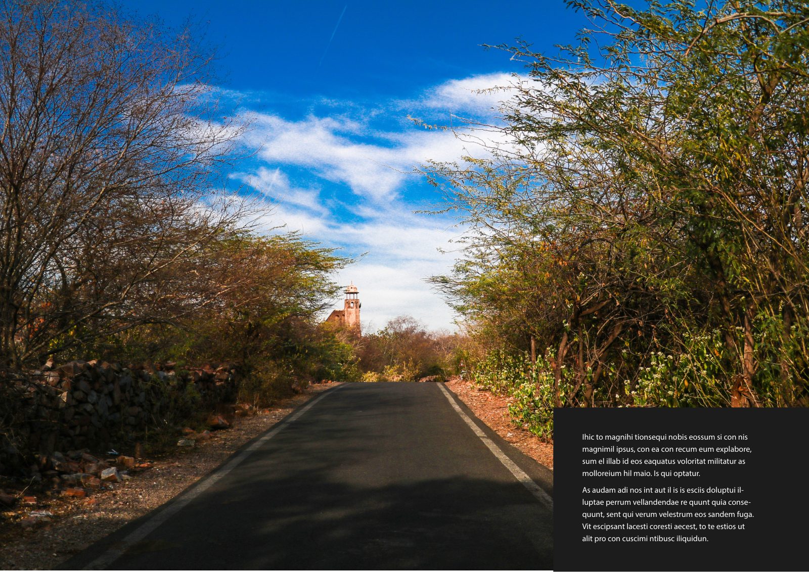 Photography Portfolio — Book — page 5/38