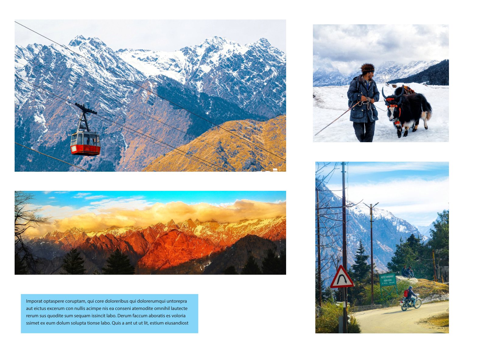 Photography Portfolio — Book — page 7/38