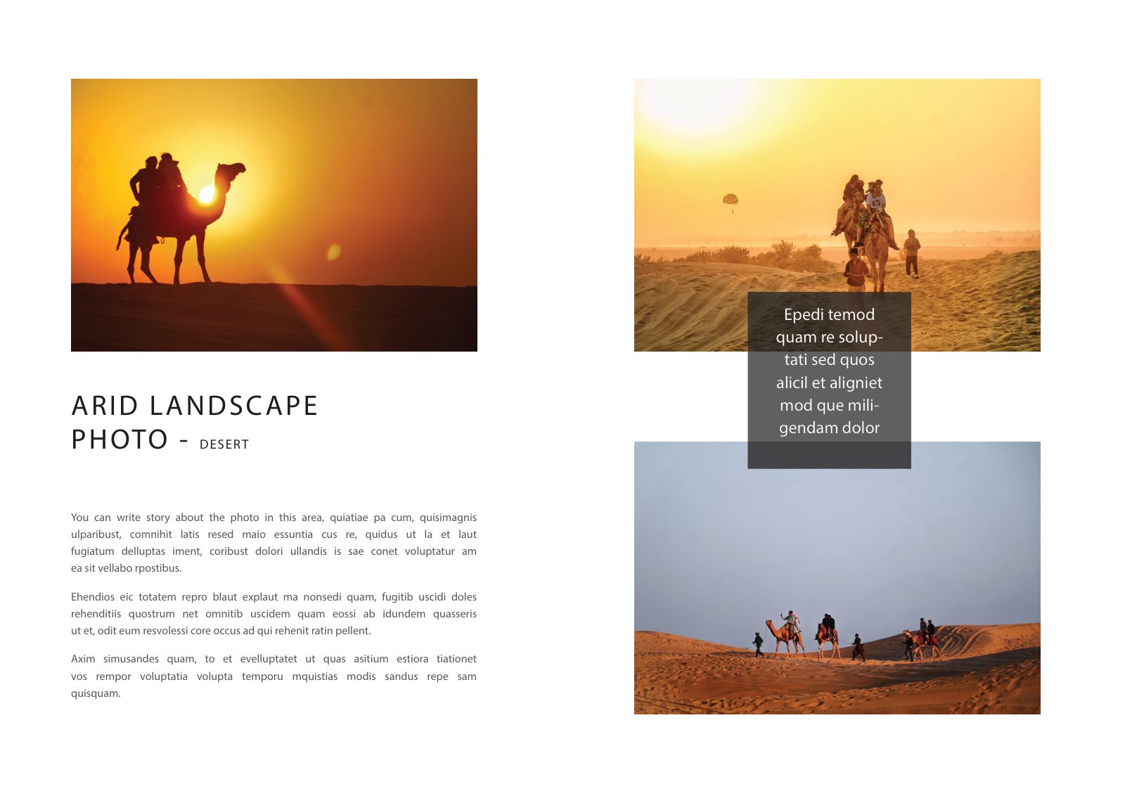 Photography Portfolio — Book — page 8/38