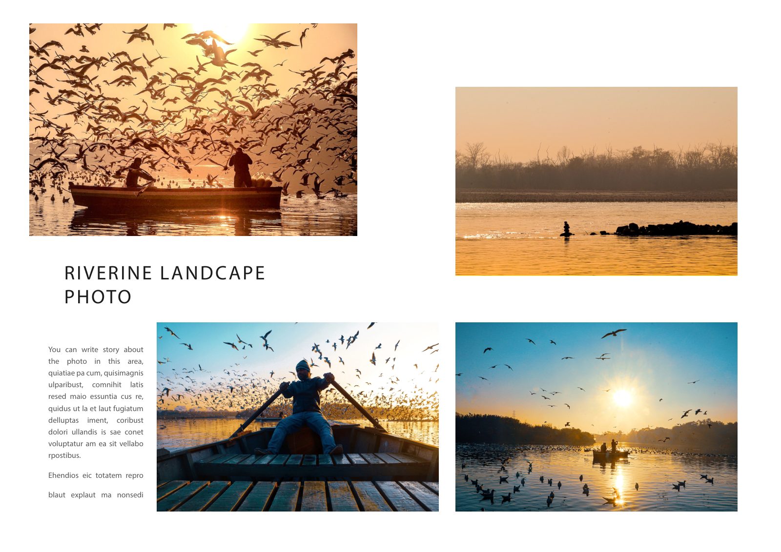 Photography Portfolio — Book — page 11/38