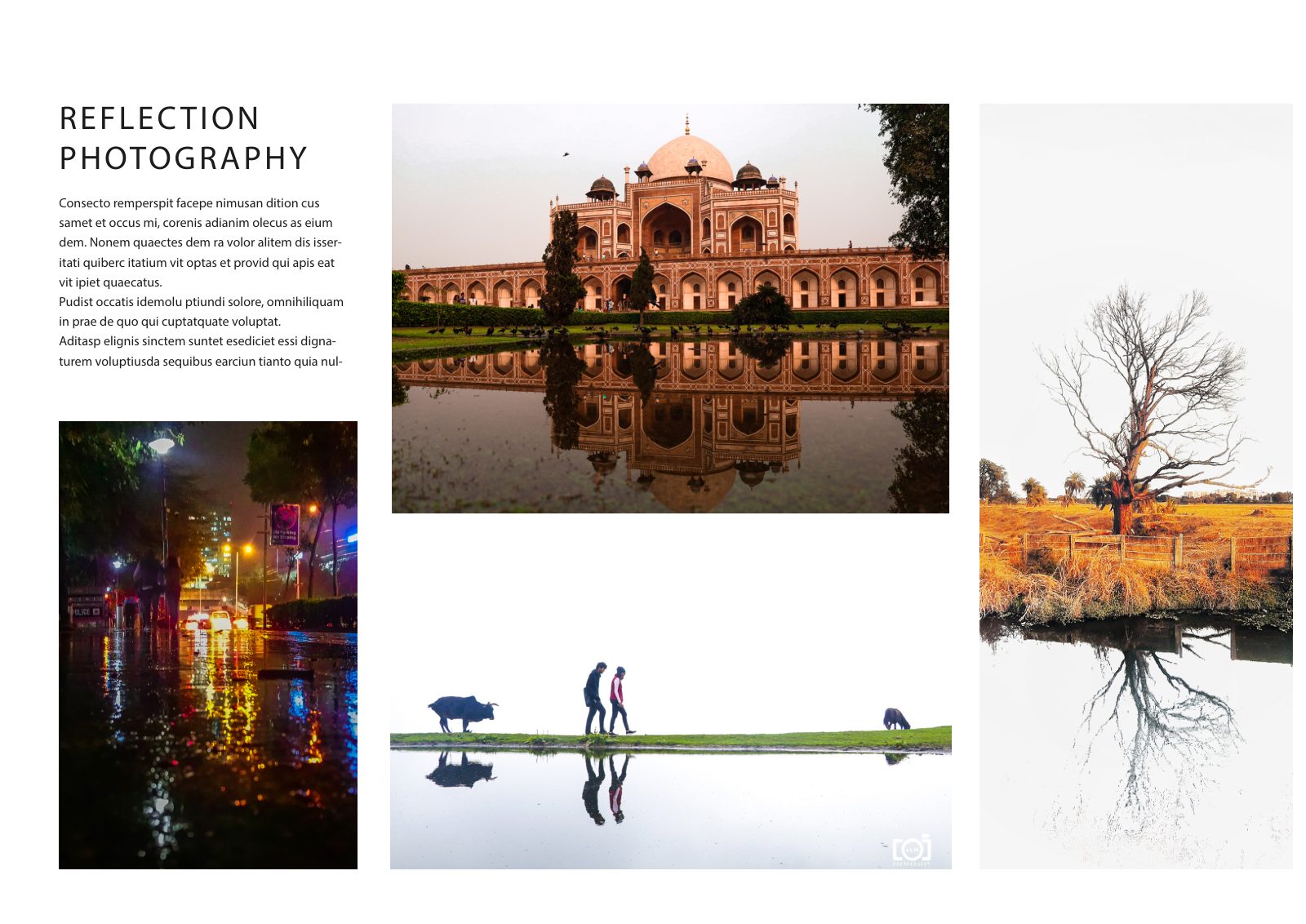 Photography Portfolio — Book — page 24/38