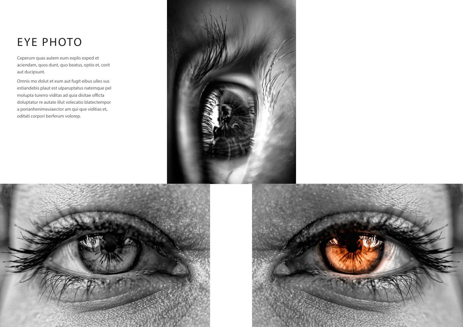Photography Portfolio — Book — page 35/38