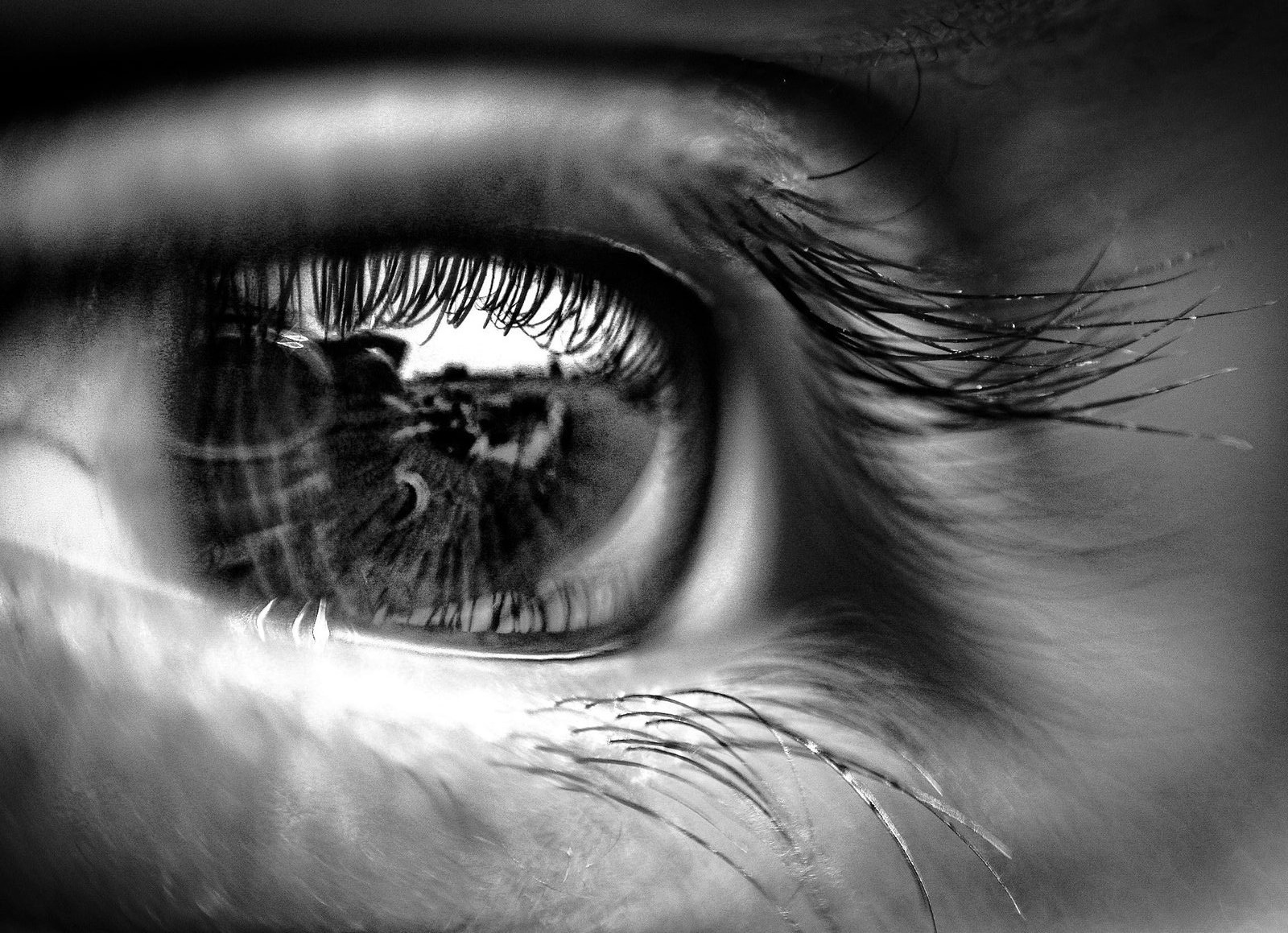 Photograph 3 of 10 from “CLOSE RANGE” — macro / eye / texture.