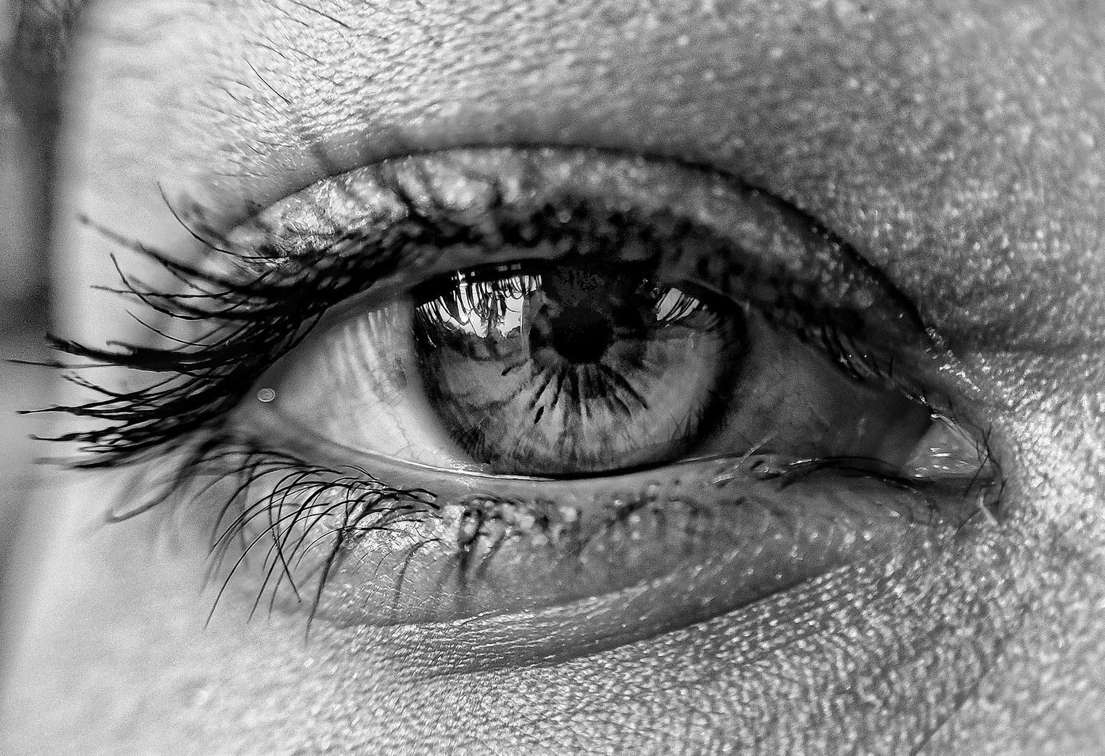 Photograph 5 of 10 from “CLOSE RANGE” — macro / eye / texture.