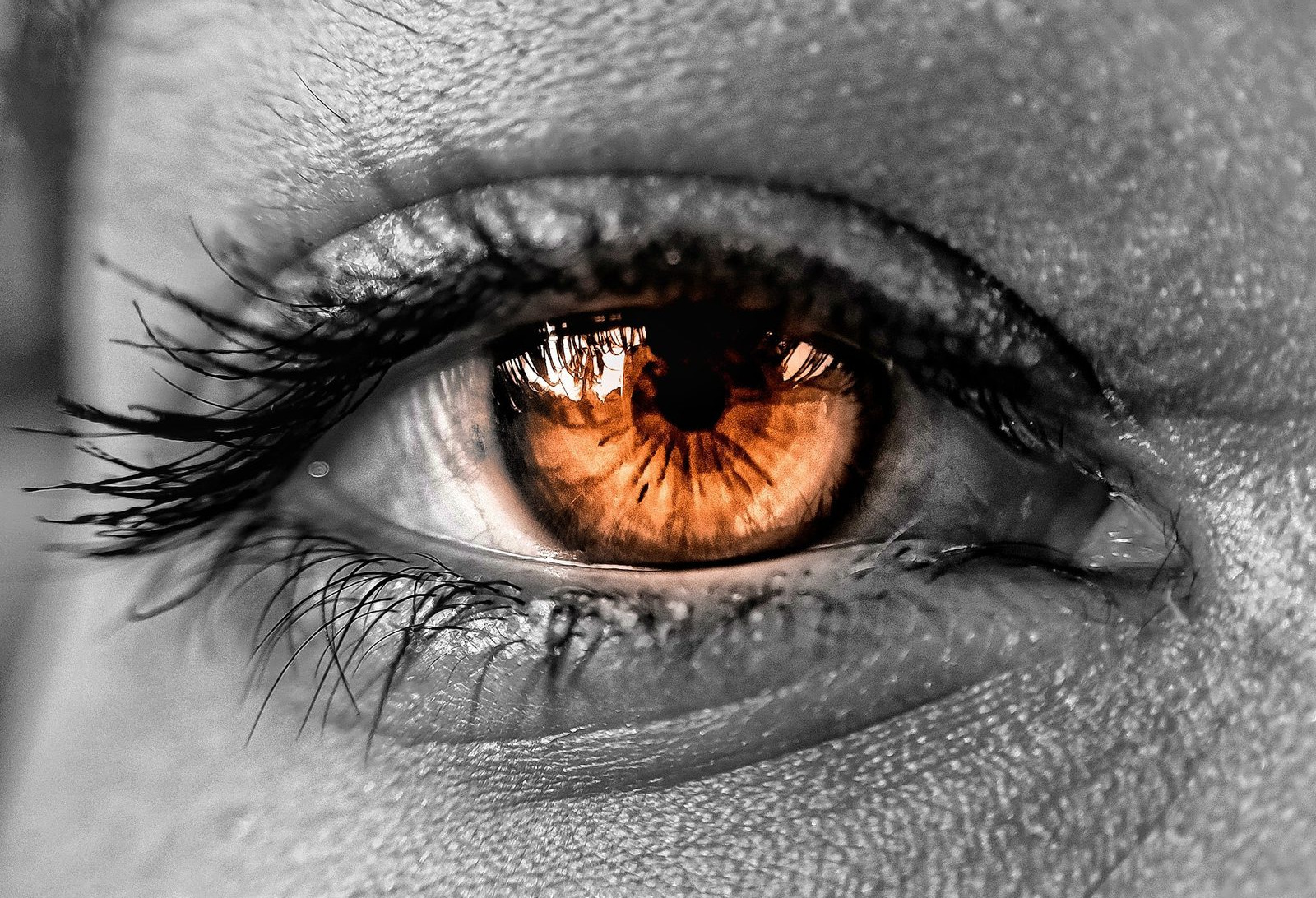 Opening frame of CLOSE RANGE — macro / eye / texture.