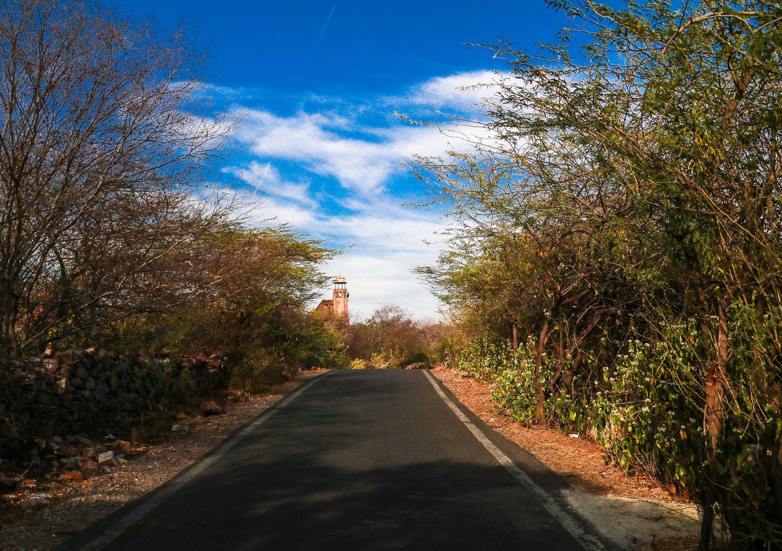 Photograph 11 of 15 from “QUIET GROUND” — desert / plain / coast.