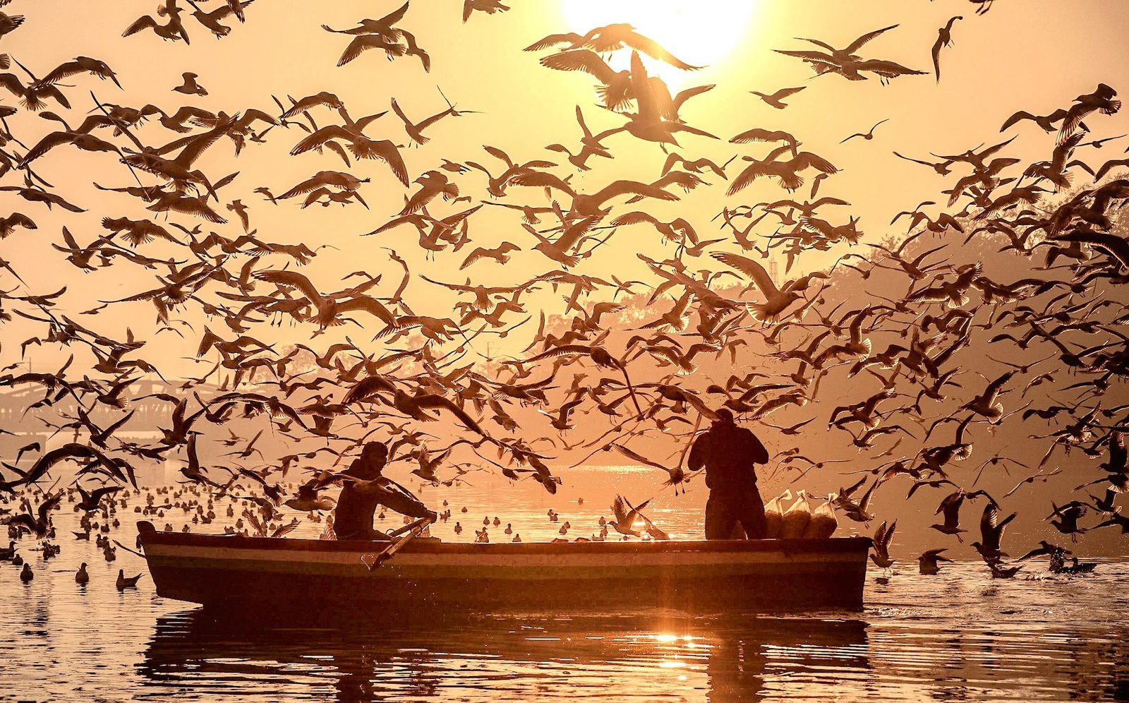 Photograph 2 of 8 from “THE RIVER AT DAWN” — birds / boats / first light.