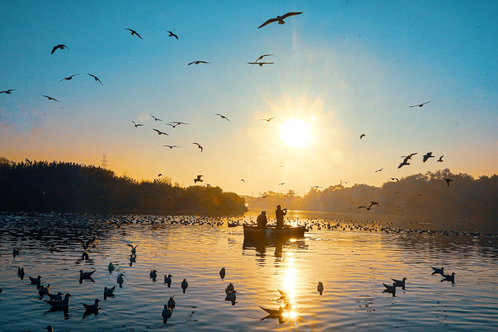 Photograph 4 of 8 from “THE RIVER AT DAWN” — birds / boats / first light.