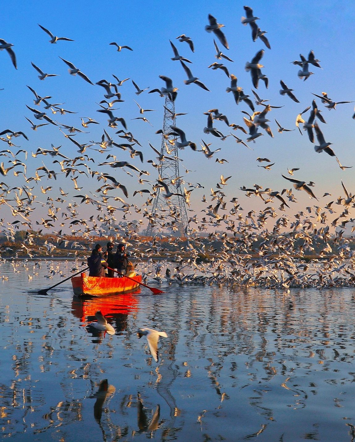 Photograph 3 of 8 from “THE RIVER AT DAWN” — birds / boats / first light.