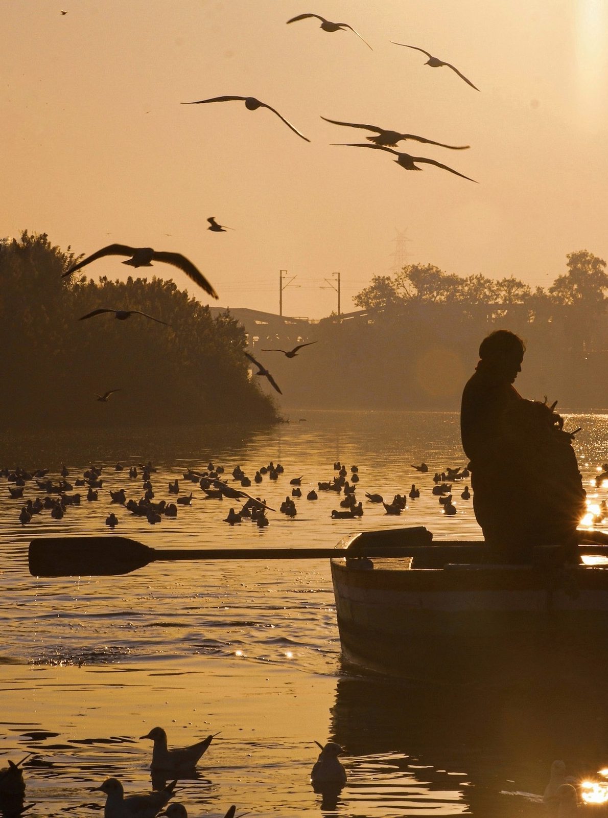 Photograph 7 of 8 from “THE RIVER AT DAWN” — birds / boats / first light.