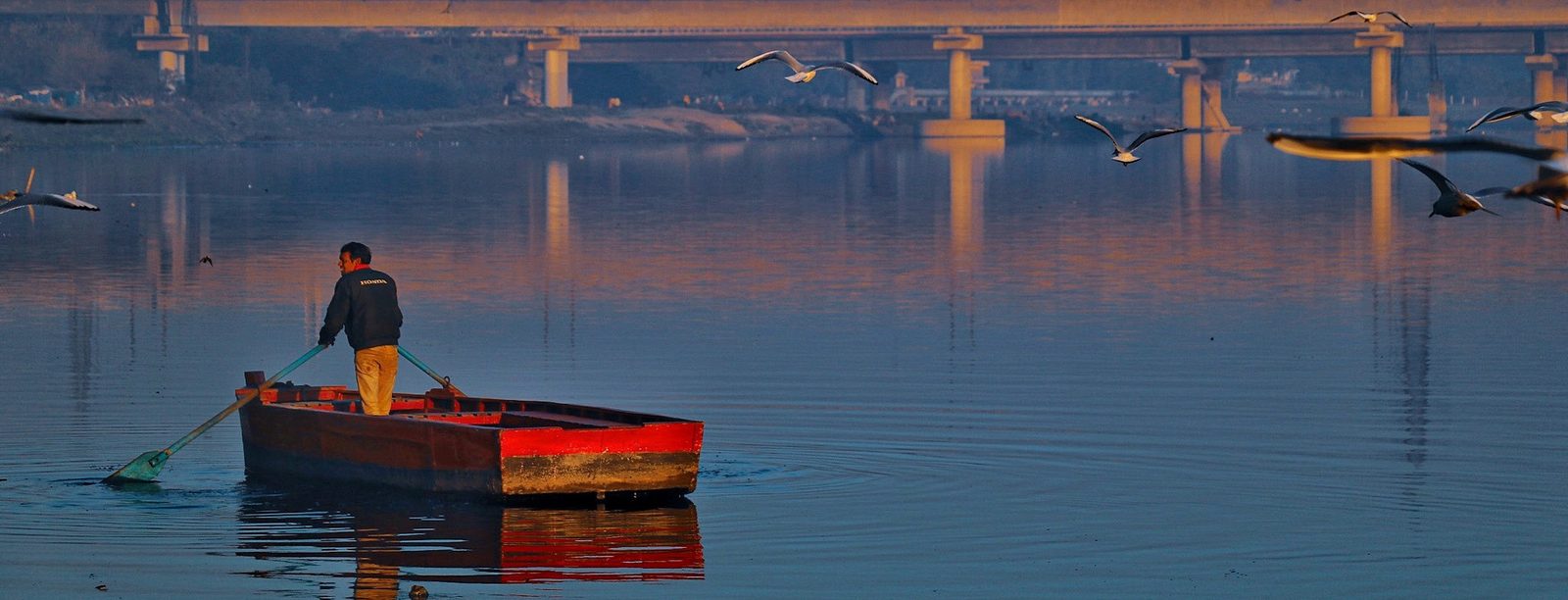Photograph 5 of 8 from “THE RIVER AT DAWN” — birds / boats / first light.